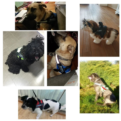 NO PULL Reflective Breathable Adjustable Harness For Dog Vest ID Custom Patch
