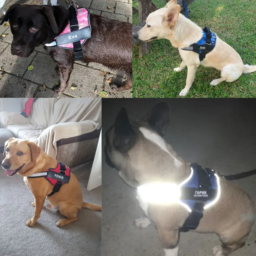 NO PULL Reflective Breathable Adjustable Harness For Dog Vest ID Custom Patch
