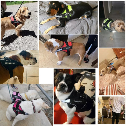 NO PULL Reflective Breathable Adjustable Harness For Dog Vest ID Custom Patch
