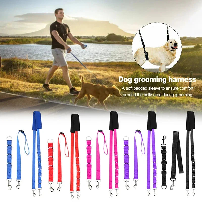 Harness Leads For Pet Grooming Table Adjustable
