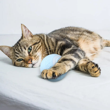 6pcs Automatic Rolling Ball Interactive Cat Toy   ﻿