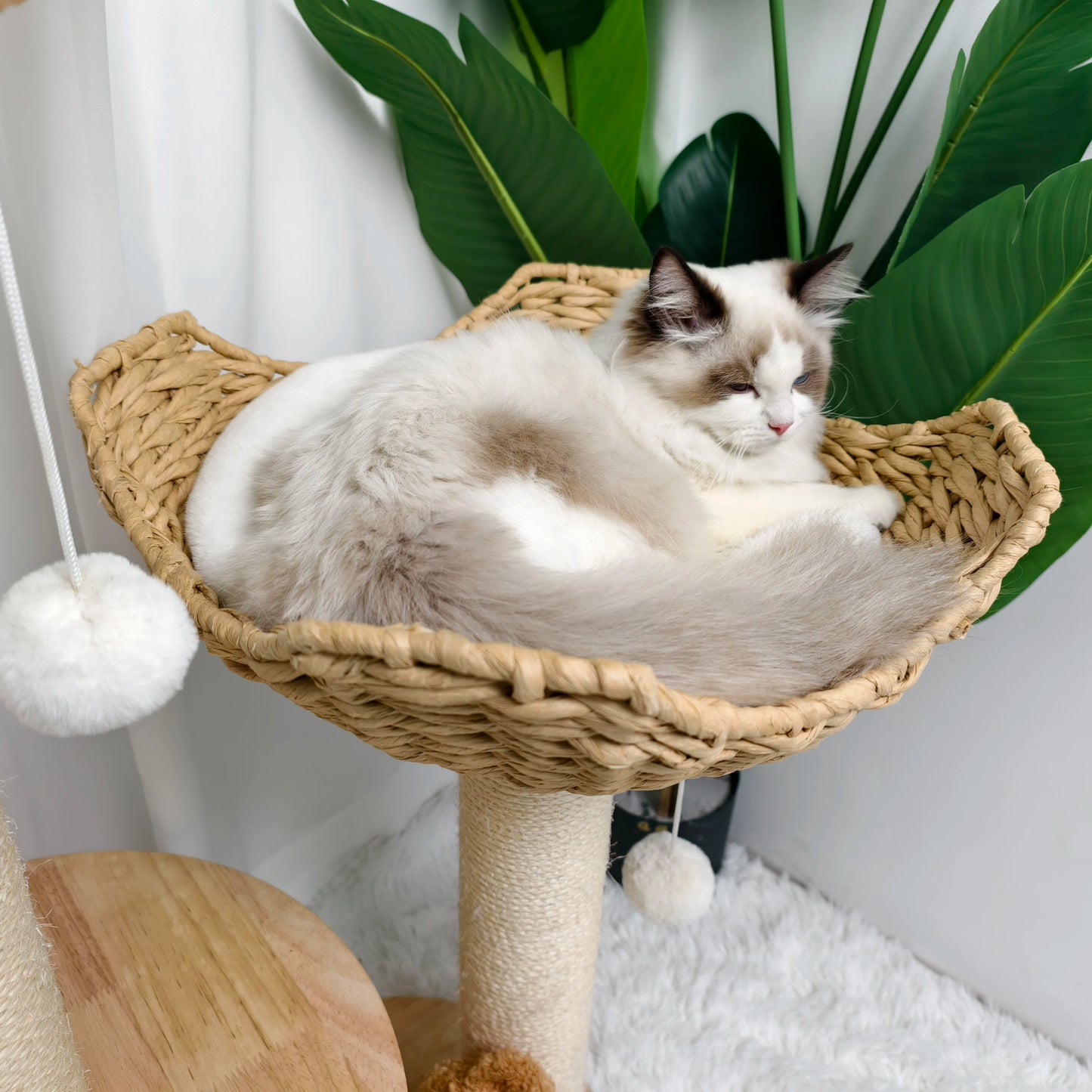 3-Tier Cat Tree Padded Plush Napping Perches Sisal Rope Scratching Posts and Hanging Toy