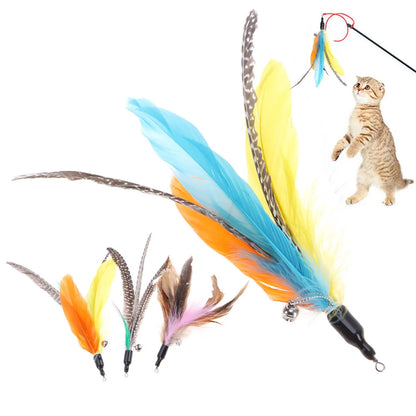 5pcs Interactive Colorful Feather Wand Exquisite Replacement Cat Supplies