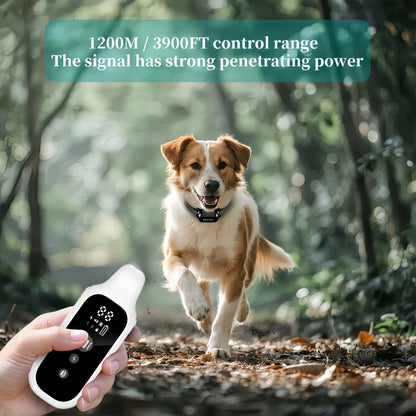 800m Digital Dog Training Collar Waterproof Rechargeable Remote Control  with LCD Display for All Size Shock Vibration Sound