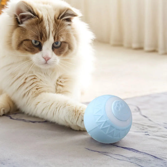 6pcs Automatic Rolling Ball Interactive Cat Toy   ﻿