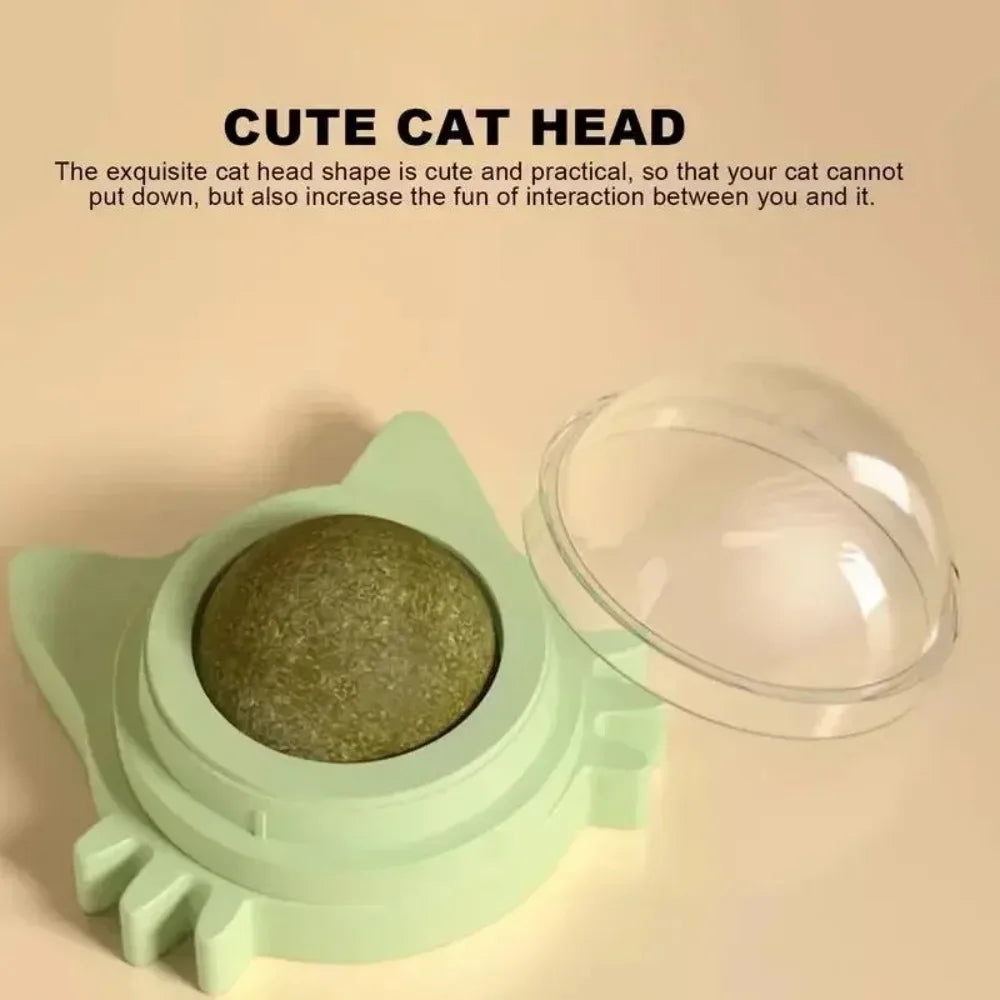 Lickable Teeth Cleaning Chew Toy with Natural Catnip for Kittens & Cats, Sticks to Wall & Window