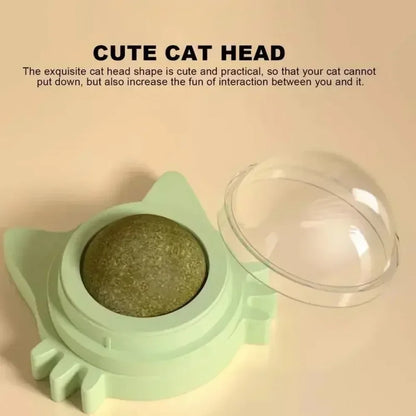 Lickable Teeth Cleaning Chew Toy with Natural Catnip for Kittens & Cats, Sticks to Wall & Window
