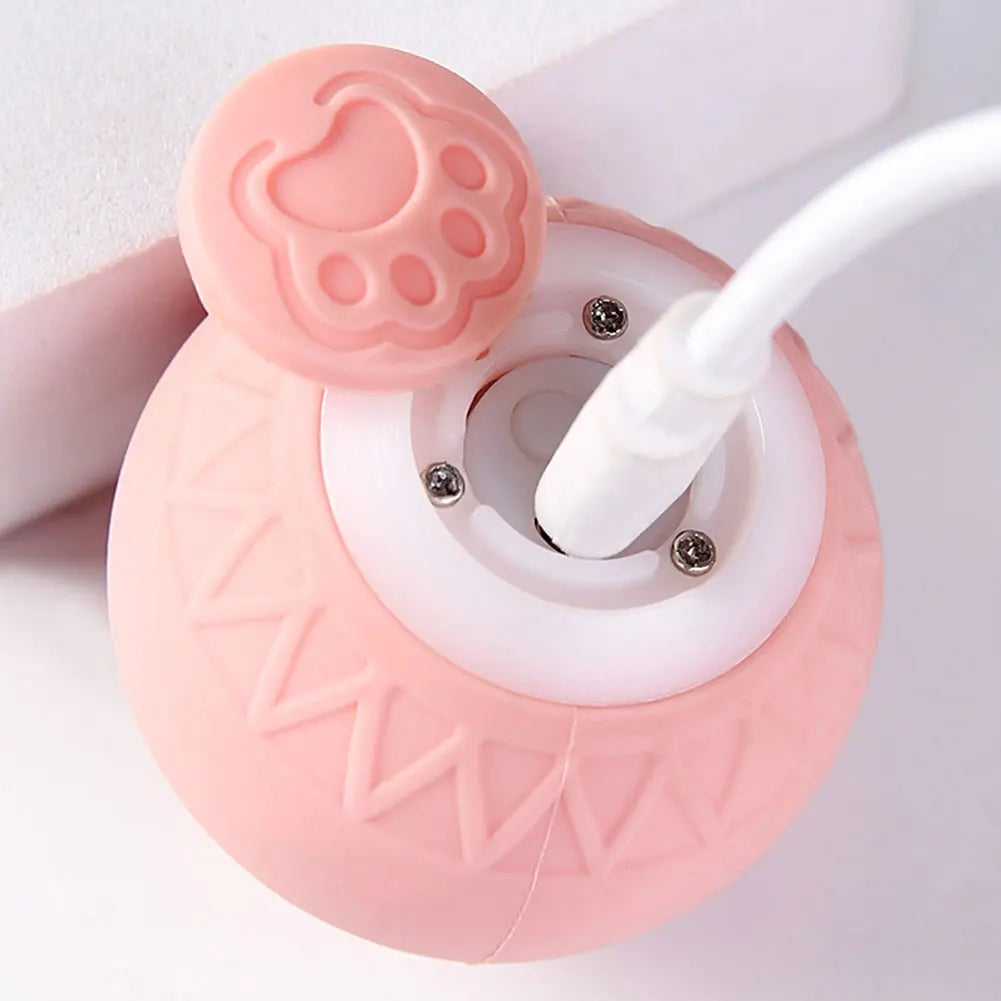 6pcs Automatic Rolling Ball Interactive Cat Toy   ﻿