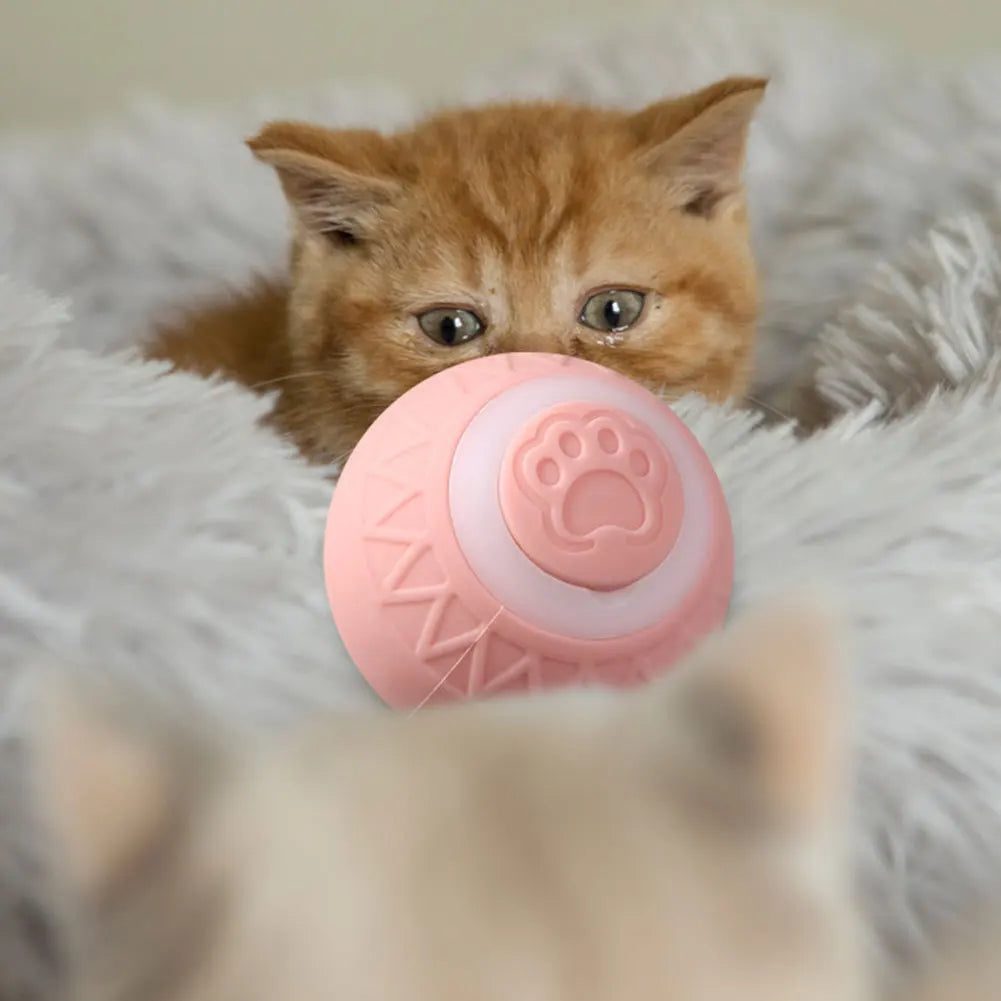 6pcs Automatic Rolling Ball Interactive Cat Toy   ﻿