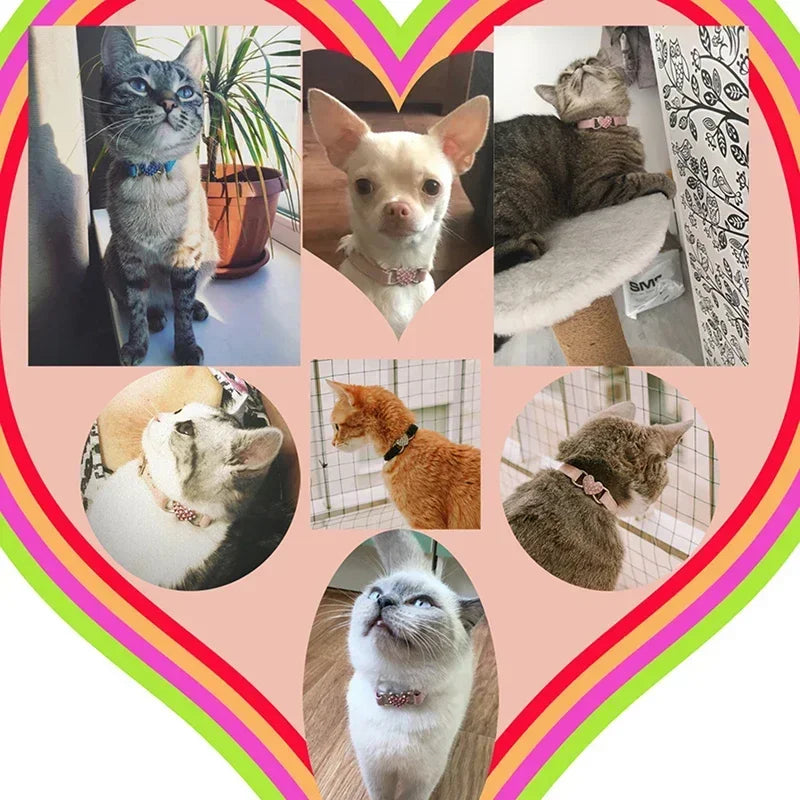 8 Colors Adjustable Soft Velvet Heart Charm and Bell Cat Collar Safety Elastic