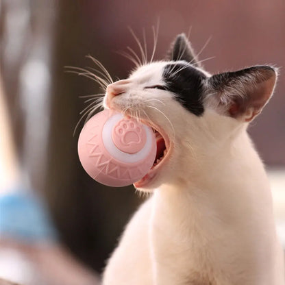 6pcs Automatic Rolling Ball Interactive Cat Toy   ﻿