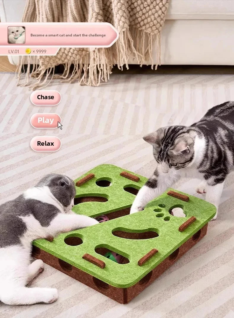 Cat Felt Puzzle Box With Ball Indoor Entertainment