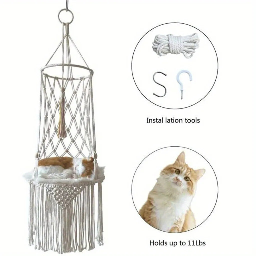 Cats Hammock