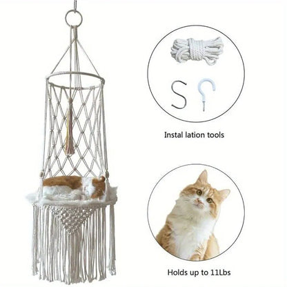 Cats Hammock