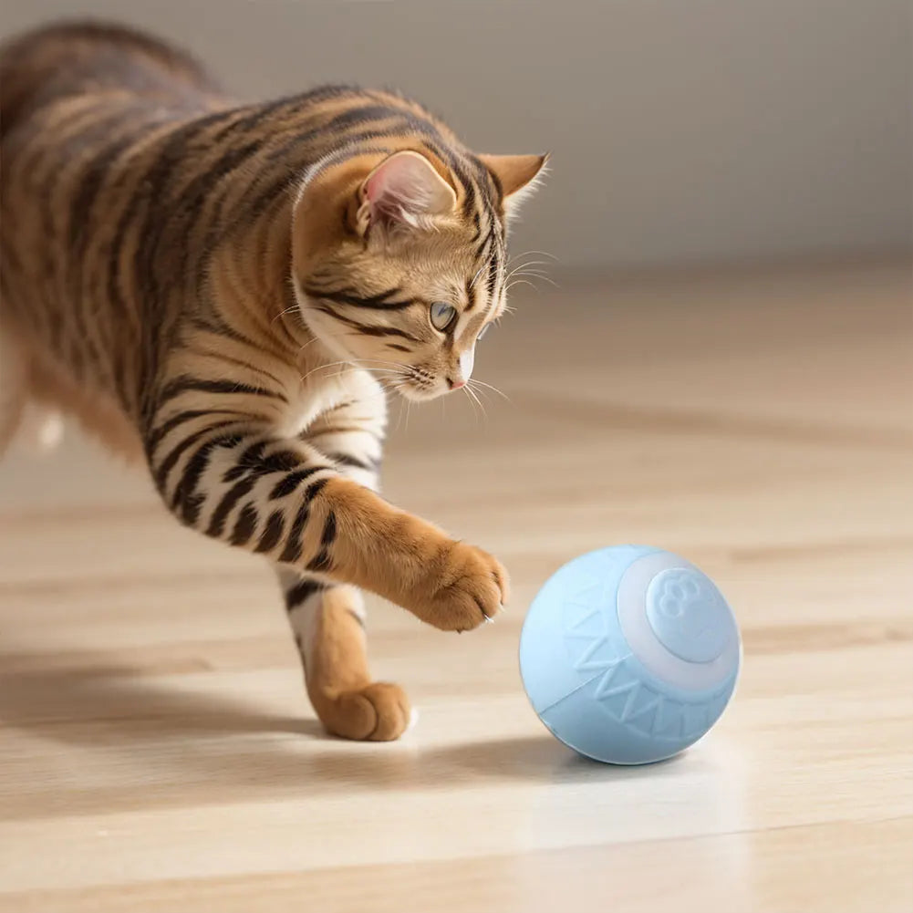 6pcs Automatic Rolling Ball Interactive Cat Toy   ﻿