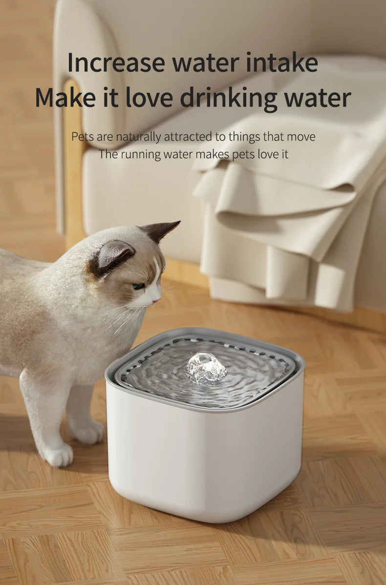3L Cat Water Fountain Auto Recirculate Filter  USB Electric