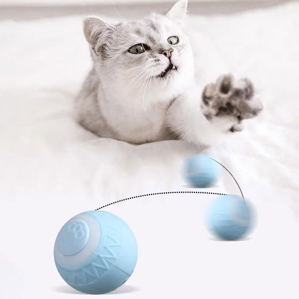 6pcs Automatic Rolling Ball Interactive Cat Toy   ﻿
