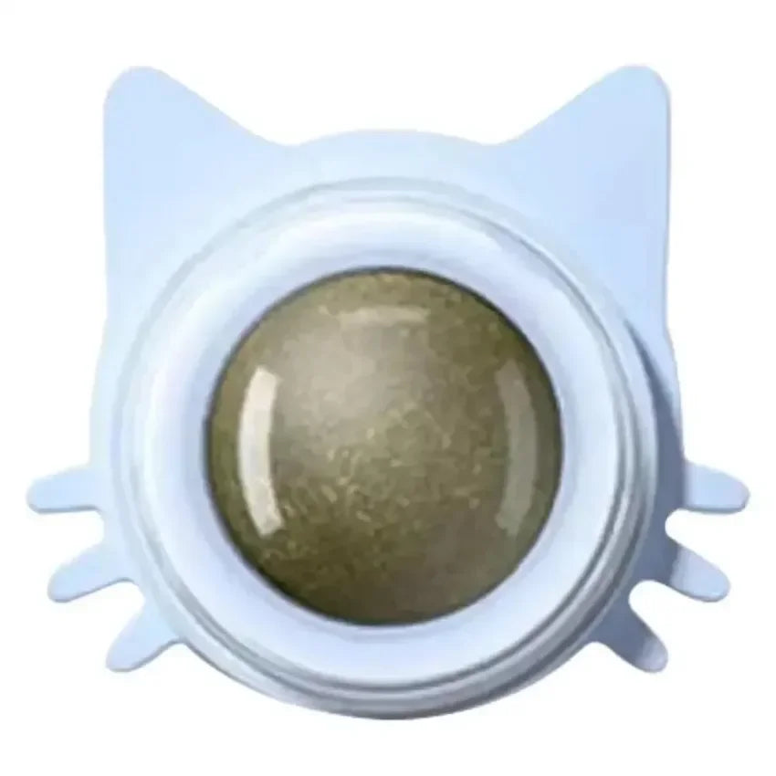 Lickable Teeth Cleaning Chew Toy with Natural Catnip for Kittens & Cats, Sticks to Wall & Window