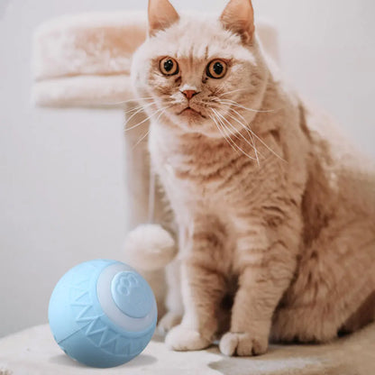 6pcs Automatic Rolling Ball Interactive Cat Toy   ﻿
