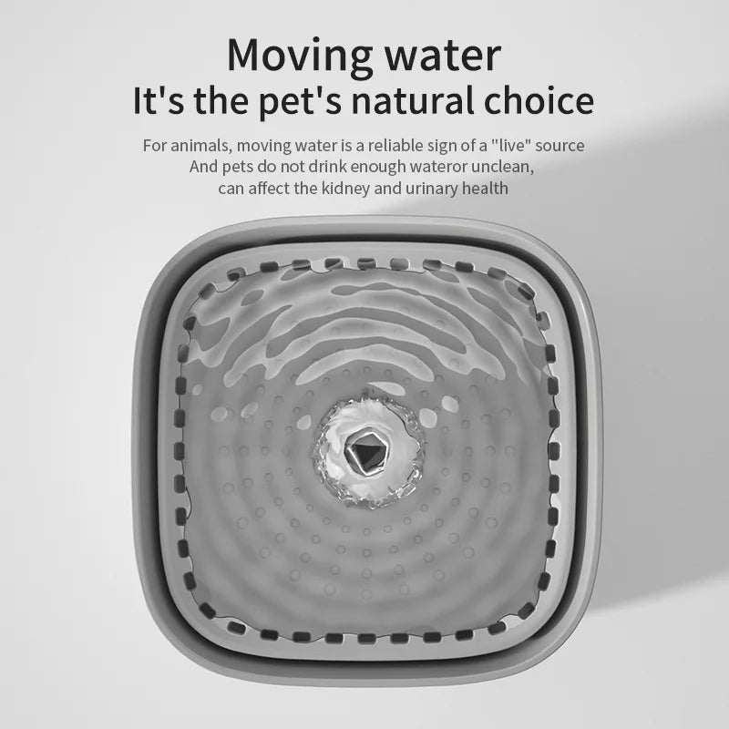3L Cat Water Fountain Auto Recirculate Filter  USB Electric