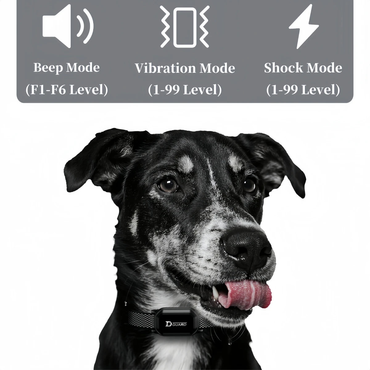 800m Digital Dog Training Collar Waterproof Rechargeable Remote Control  with LCD Display for All Size Shock Vibration Sound