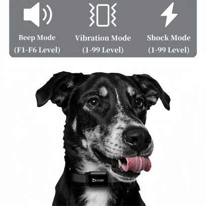 800m Digital Dog Training Collar Waterproof Rechargeable Remote Control  with LCD Display for All Size Shock Vibration Sound
