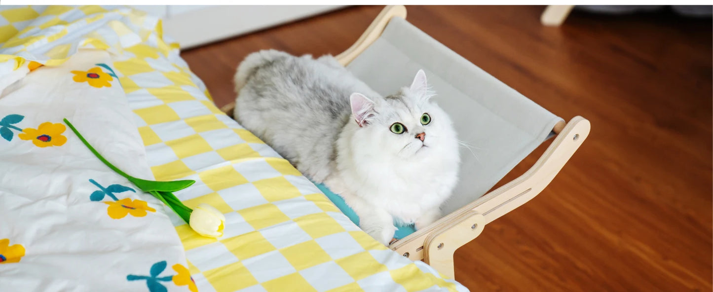 Cat Hammock Window Bed