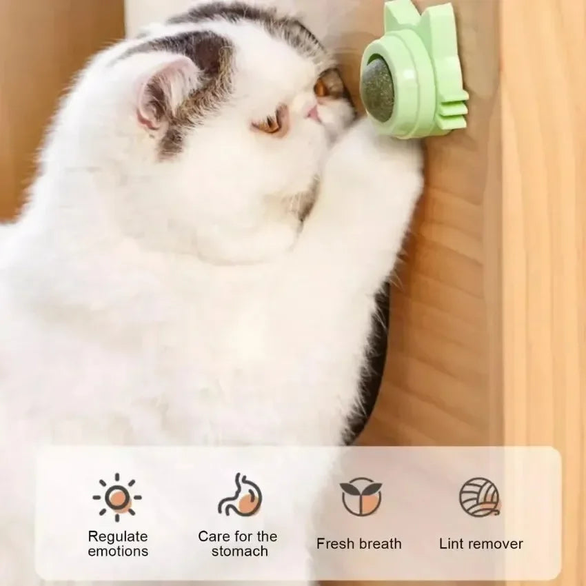 Lickable Teeth Cleaning Chew Toy with Natural Catnip for Kittens & Cats, Sticks to Wall & Window