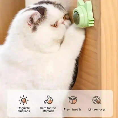 Lickable Teeth Cleaning Chew Toy with Natural Catnip for Kittens & Cats, Sticks to Wall & Window