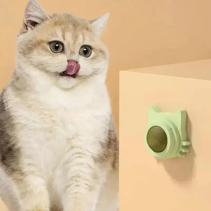 Lickable Teeth Cleaning Chew Toy with Natural Catnip for Kittens & Cats, Sticks to Wall & Window