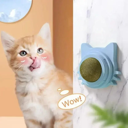 Lickable Teeth Cleaning Chew Toy with Natural Catnip for Kittens & Cats, Sticks to Wall & Window