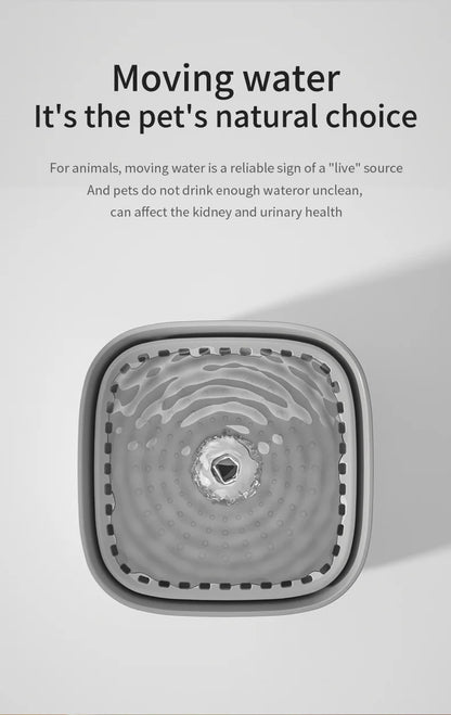 3L Cat Water Fountain Auto Recirculate Filter  USB Electric