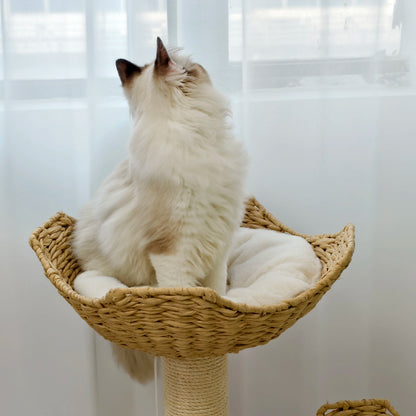 3-Tier Cat Tree Padded Plush Napping Perches Sisal Rope Scratching Posts and Hanging Toy