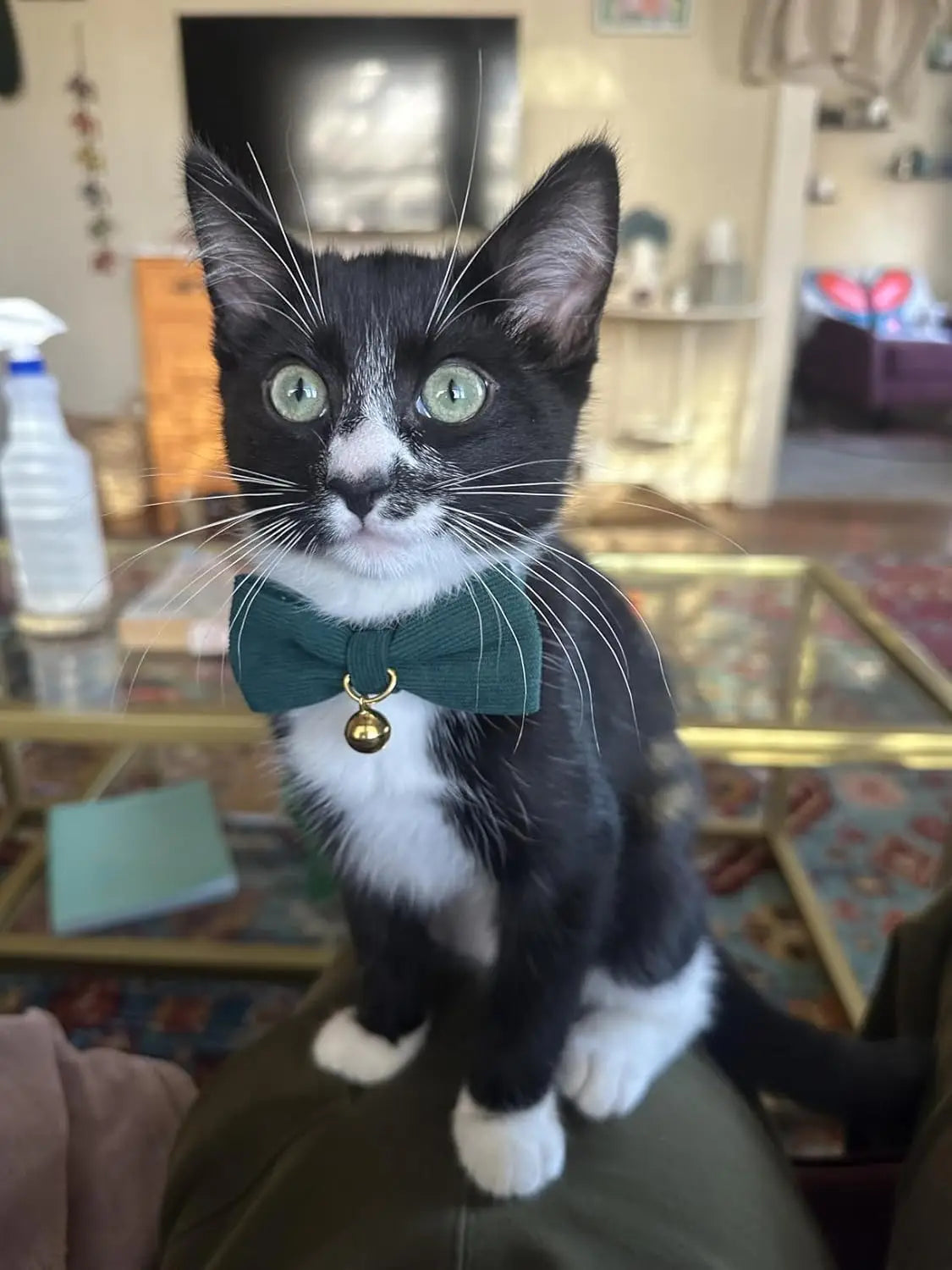 2 Pack Soft Corduroy Cat Collars with Bow Tie & Bell, Adjustable Breakaway