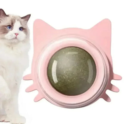 Lickable Teeth Cleaning Chew Toy with Natural Catnip for Kittens & Cats, Sticks to Wall & Window