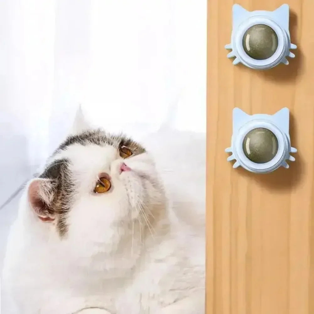 Lickable Teeth Cleaning Chew Toy with Natural Catnip for Kittens & Cats, Sticks to Wall & Window
