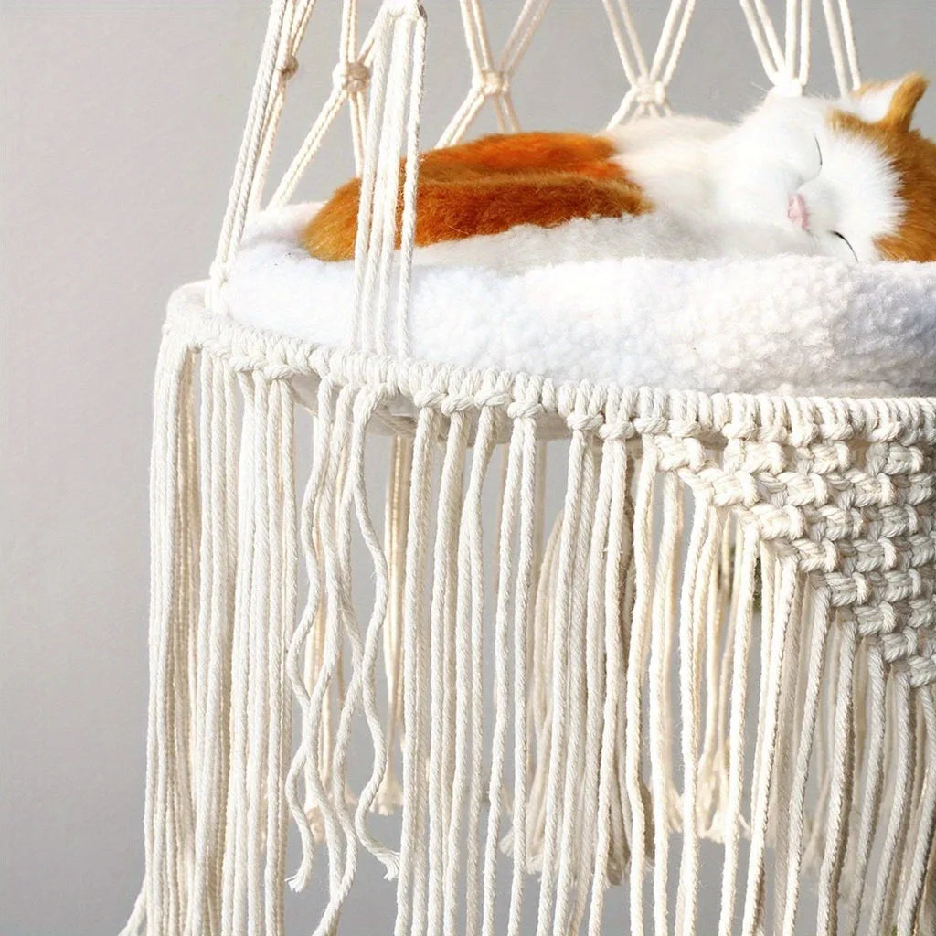 Cats Hammock