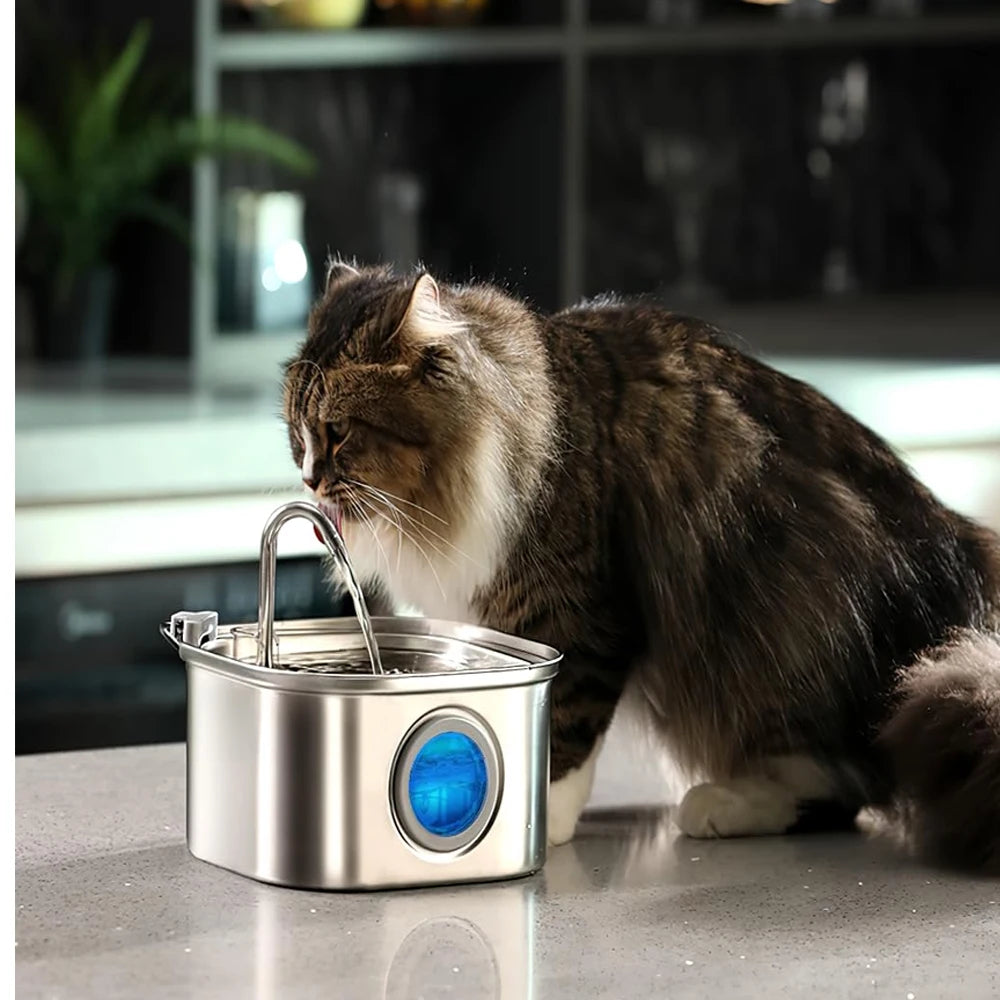 2.2L Automatic  Water Fountain Square Stainless Steel  with window