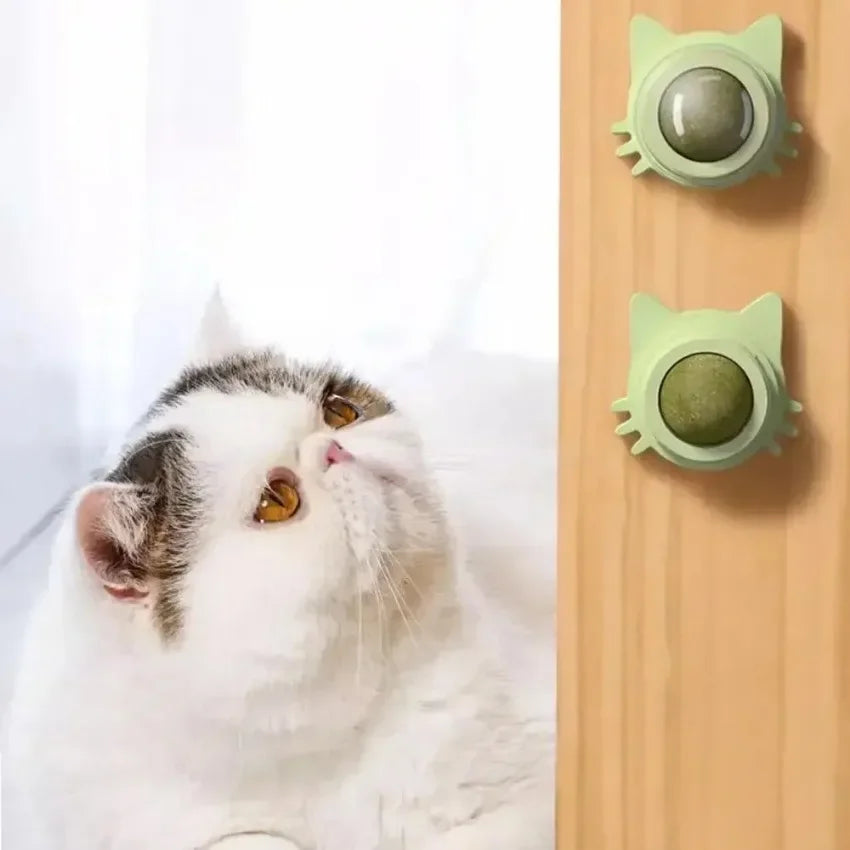 Lickable Teeth Cleaning Chew Toy with Natural Catnip for Kittens & Cats, Sticks to Wall & Window