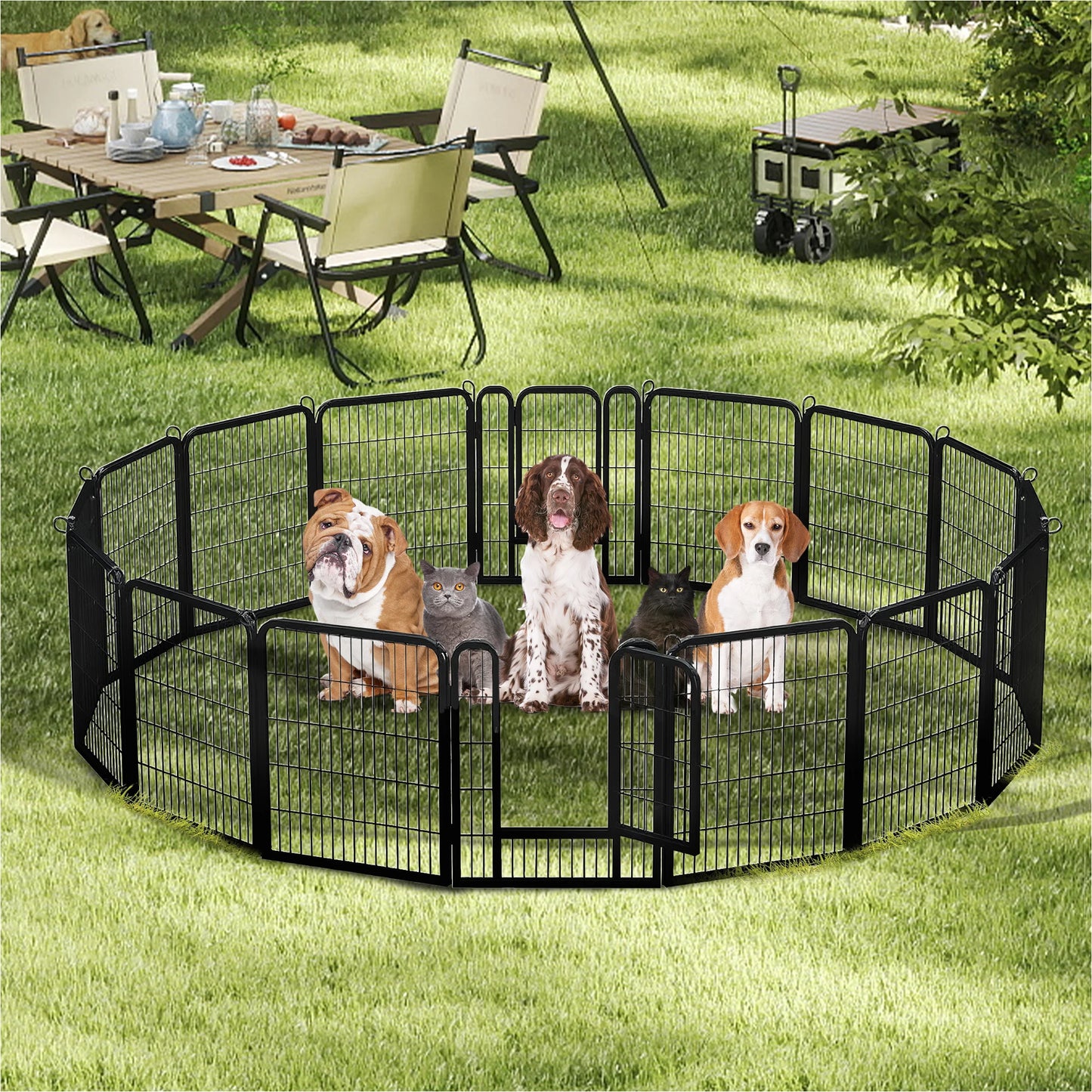 Dog Playpen with Door, Outdoor/Indoor Foldable Metal for Yard, RV Camping, DIY Pet Cage