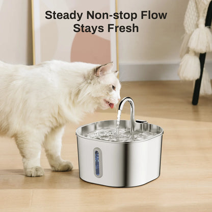 2.2L Automatic  Water Fountain Square Stainless Steel  with window