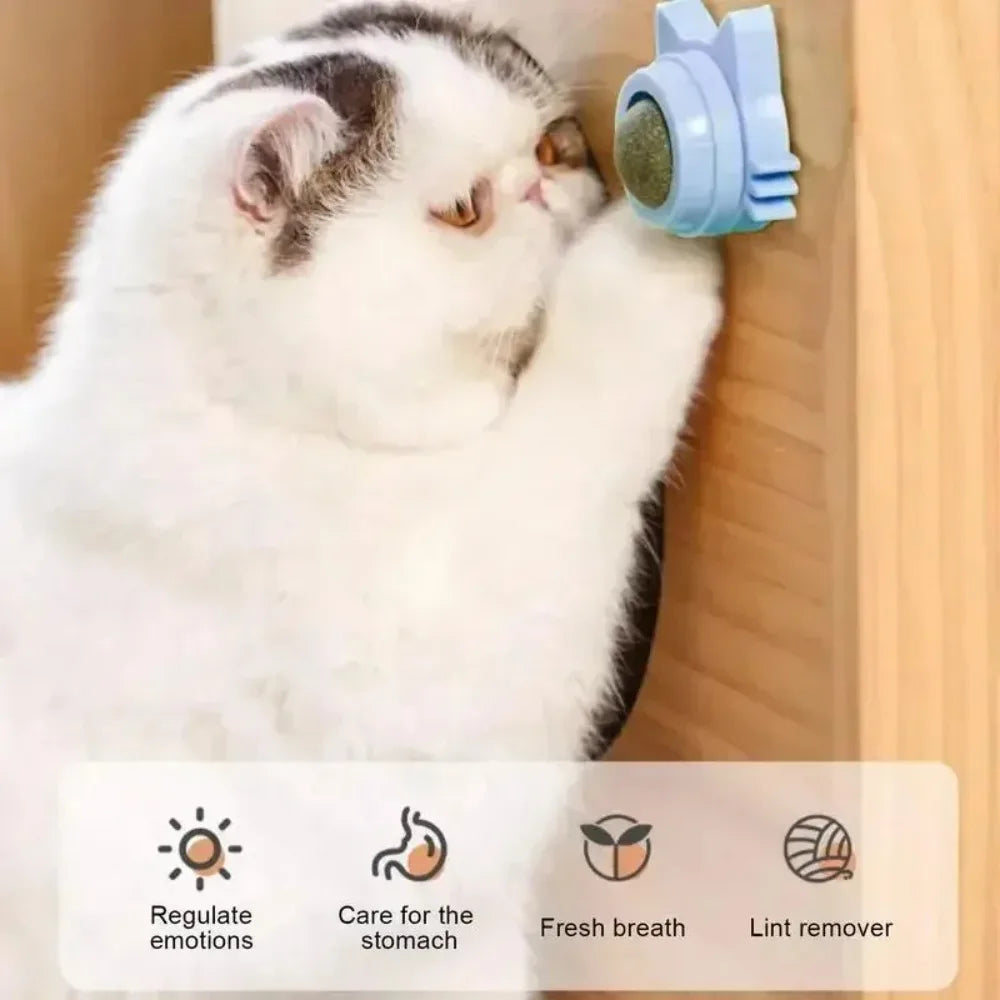 Lickable Teeth Cleaning Chew Toy with Natural Catnip for Kittens & Cats, Sticks to Wall & Window