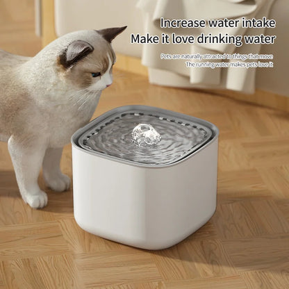 3L Cat Water Fountain Auto Recirculate Filter  USB Electric