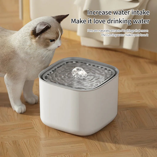 3L Cat Water Fountain Auto Recirculate Filter  USB Electric